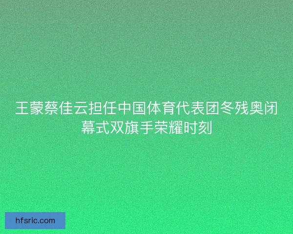 王蒙蔡佳云担任中国体育代表团冬残奥闭幕式双旗手荣耀时刻
