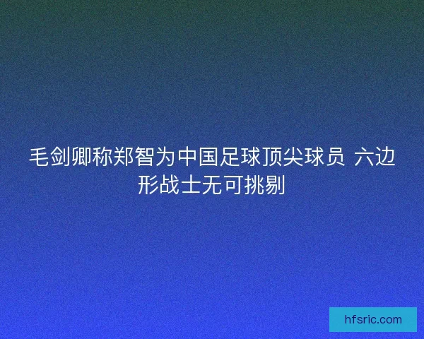 毛剑卿称郑智为中国足球顶尖球员 六边形战士无可挑剔